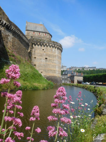 フジェール城壁と野の花